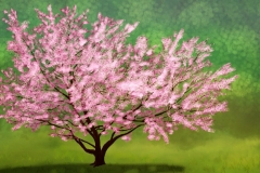 Cherry Tree