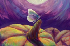 Butterfly and Pumpkin in Moonlight