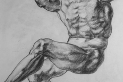 Master Study - Michelangelo